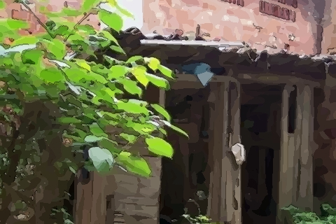 你知道农村自建房房前屋后栽什么果树好 有什么风水讲究