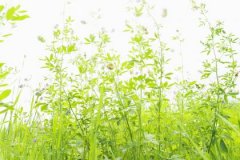 八字用神天干重要吗？干支用神区别