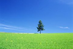 大溪水缺什么怎么样，大溪水命五行缺什么