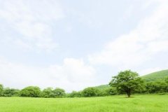 癸丑日生于丑时，癸丑日丑时生命运好吗