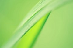 乙酉日生于亥时，乙酉日亥时生命运好吗