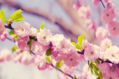 丙戌日生于午时，丙戌日午时生命运好吗