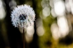 大溪水五行属什么，大溪水命五行解析