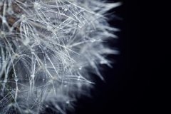 缺水木的男孩名字最新，五行缺水和缺木怎么办