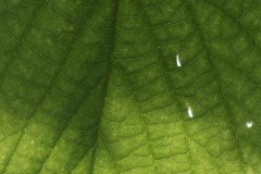癸亥日哪个月份生好？详解癸亥日出生月份