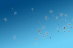 五行大溪水，大溪水命什么意思