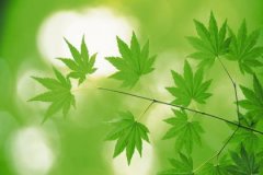 八字同时带魁罡羊刃，羊刃格魁罡命好吗