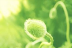 哪年是大溪水命？什么是大溪水命