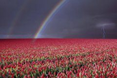 天乙贵人戴貔貅好吗？貔貅适合什么生肖人戴