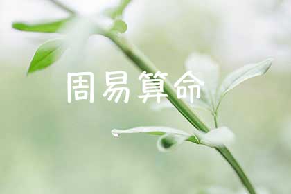周易算命