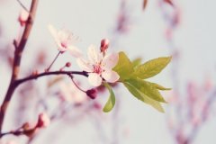 姓杨五行缺水的小孩名字，五行缺水怎么取名