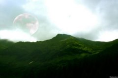 财星为喜用神什么意思，财星为喜用神大富大贵