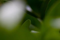 大多八字都有天乙贵人，天乙贵人是什么意思