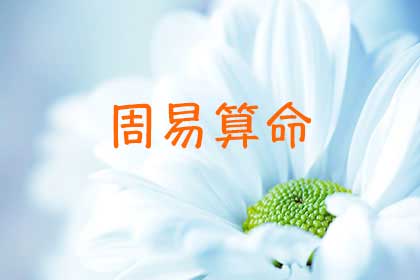 周易算命