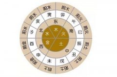 最好的八字排盘软件，免费的八字排盘哪个好？
