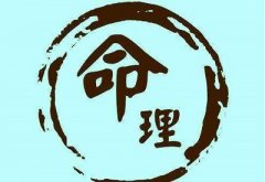 四柱八字排盘下载，四柱八字排盘详细解析