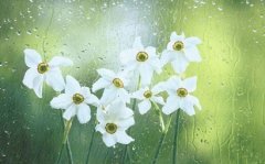 壬戌年太岁是哪一位，壬戌太岁洪充大将军传略