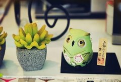 紫微排盘各宫详批免费，十二宫分别代表什么？