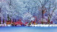 纳甲六爻排盘有什么口诀吗？