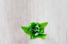 丁酉年是哪几年？丁酉年出生的人命怎么样？