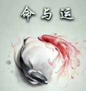怎么从八字看财运？哪些八字财运好？