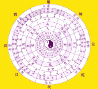 出生在2019的宝宝什么样的八字会大富大贵