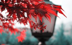 什么是泉中水命,泉中水命与什么命最般配？