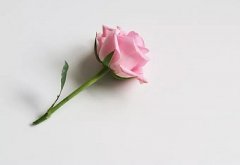 两个人的八字不合影响事业吗？