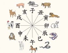 八字地支六冲是什么？哪些地支相冲