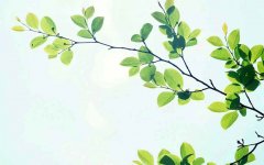 八字纳音代表什么含义,八字纳音对命理有何影响