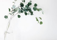 八字四柱中的年柱是什么意思,年柱的算法是什么