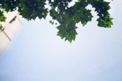 什么是四柱八字用神,用神怎么看？