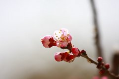怎么判断八字喜忌,八字喜忌解析！