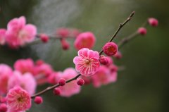 什么是天乙贵人,用喜用神法判断自己的贵人？