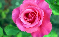 女人八字中桃花运极旺的特点有哪些,什么八字旺