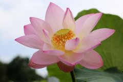 乙亥日与壬寅日配吗，乙亥日柱与壬寅日柱是否