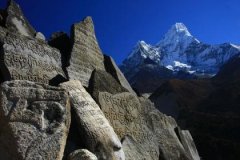 庚子日生于申月解析，庚子日生于申月命运好吗