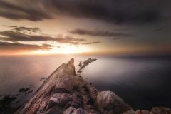 丁巳日生于戌月解析，丁巳日生于戌月命运好吗