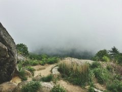 癸丑日与戊子日配吗，癸丑日柱与戊子日柱是否