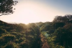 壬戌日与丙申日配吗，壬戌日柱与丙申日柱是否