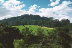 大林木命住几楼好,大林木命选择房子住几层最好
