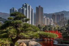 钗钏金和桑柘木配吗，钗钏金和桑柘木婚姻如何