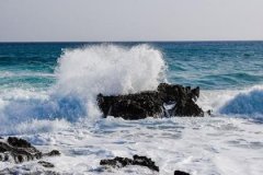 辛巳日生于戌月解析，辛巳日生于戌月命运好吗