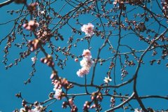 丁亥日与丁亥日配吗，丁亥日柱与丁亥日柱是否