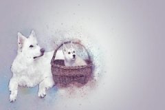 癸亥日与戊子日配吗，癸亥日柱与戊子日柱是否
