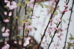 天河水缺火，天河水命五行缺火怎么办