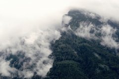 癸卯日生于酉月解析，癸卯日生于酉月命运好吗
