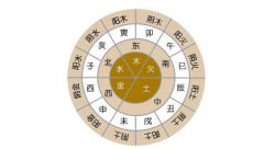 从五行看生肖的最佳出生时辰