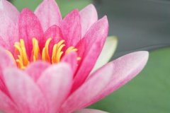 丙申日与己亥日配吗，丙申日柱与己亥日柱是否