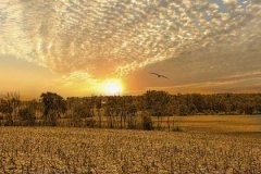 壬辰日生于亥时，壬辰日亥时生命运好吗